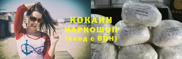 прущие грибы Абинск