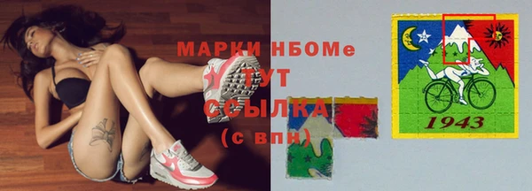 прущие грибы Абинск