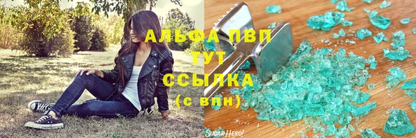 прущие грибы Абинск