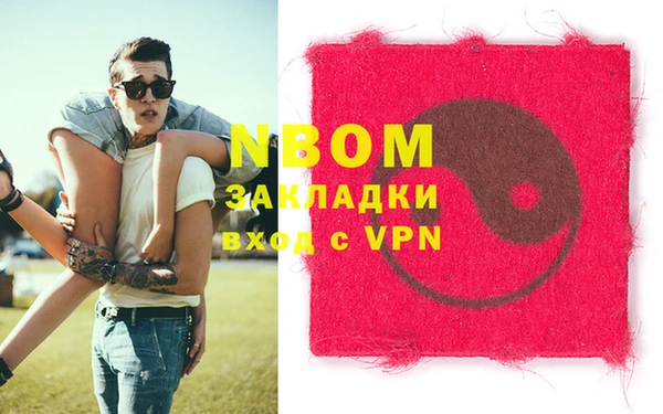 прущие грибы Абинск