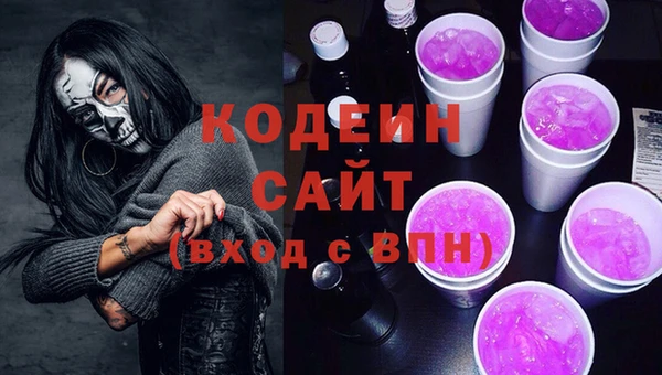 прущие грибы Абинск