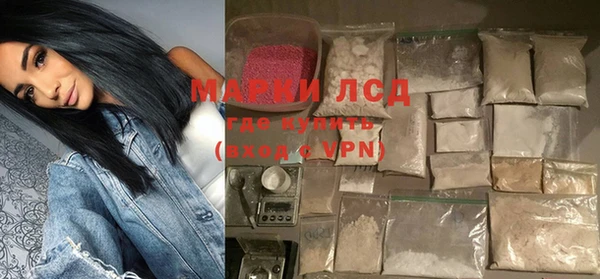прущие грибы Абинск