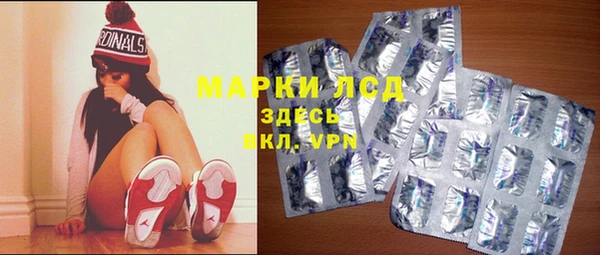 прущие грибы Абинск