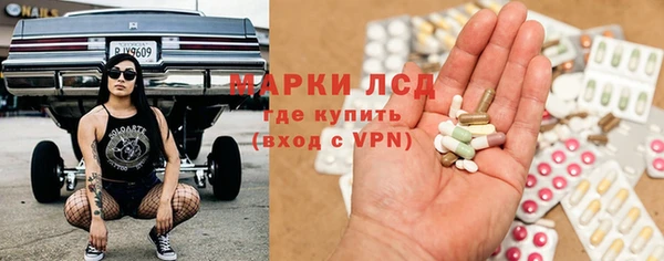 прущие грибы Абинск