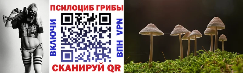 это клад  Сертолово  Галлюциногенные грибы Magic Shrooms  мега рабочий сайт 