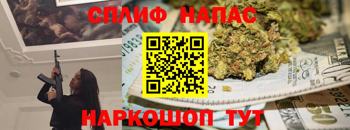 Конопля план Сертолово